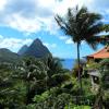 Palmiste, Soufrière, St Lucia.