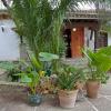 Hostal El Cortijo