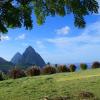 Palmiste, Soufrière, St Lucia.