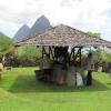 Palmiste, Soufrière, St Lucia.