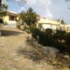 La Fonte dell'ulivo 3