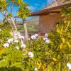 Finca Hotel Ses Cases Noves