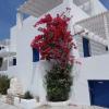 Nicos Studios & Apartments