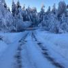 Bärvallen 388