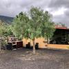 Casa Cueva de las Palomas 2