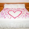 Caribbean Inn and Suites