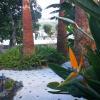 Finca Primavera
