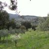 B&B Valli Verdi