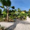 Allee Kelsey, Anse Reunion, La Digue, Seychelles.