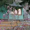 SUNSHINE house