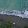 11 miles south of Puerto Jiménez, Osa Peninsula, Puntarenas Province, Costa Rica.