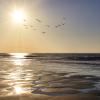Westerschelde B&B