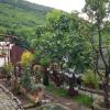 Pensiunea Casa montana