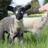 Colston Hall Farmhouse B&B