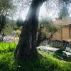 Residence Lou Naouc