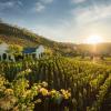 Dassenberg Road, Franschhoek, South Africa.