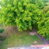 Alojamento Local, Cantinho Verde