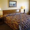 Lake Palestine Motor Inn
