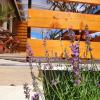 Lavendel apartments