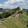 Vineyard Paradise Senica