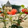 Chambres dhotes a la ferme