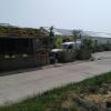 Rastlinky.sk Greenhouse Guestrooms