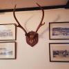 Lion Hotel Dulverton
