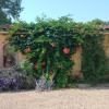 Albi à proximité, maison d'hotes les oliviers