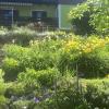 Haus Pilz