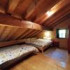 Appartement - dans le chalet Carmazin