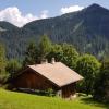 Appartement - dans le chalet Carmazin