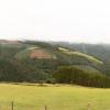 Finca Eiras