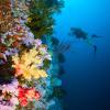 Qamea Island, off Taveuni, Fiji.