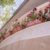 Arsego Hostel