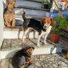 S'Imbragu Farm B&B