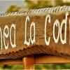 Pensiunea La Codru