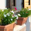 La Casa di Smilla - (Bevagna)