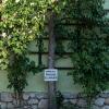 Aberseeblick Pension Ellmauer