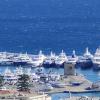 Cadel pescatore