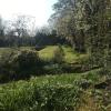 Swinton Manse & Gardens