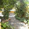 Casas Amaro