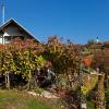 Vineyard Cottage Vercek