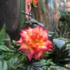 Zouglas App Guesthouse