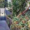 Cadel pescatore