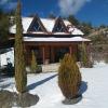 Agros Timber Log House