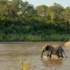 Selati Bridge Precint, Kruger National Park, Skukuza, 1350, South Africa.