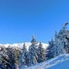 Stara Planina Vila Vesela kuca