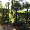 Bed & Breakfast Borka