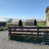 Hillside Camping Pods and Shepherd's Hut