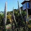 Apartamento MAR Y TEIDE
